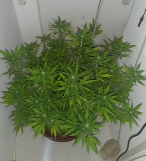 20221030_092027.jpg 20221030_092027.jpg