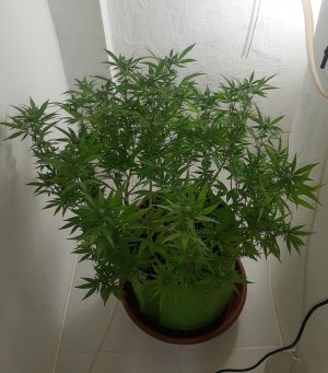 20221030_091801.jpg 20221030_091801.jpg