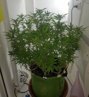 20221030_091842.jpg 20221030_091842.jpg