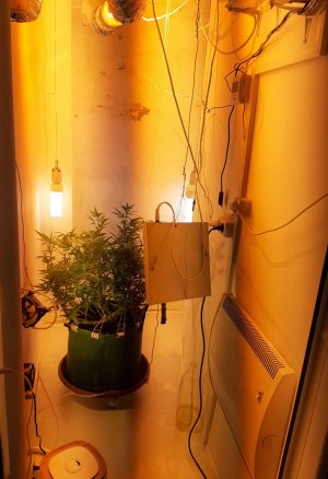 20221030_092113.jpg 20221030_092113.jpg