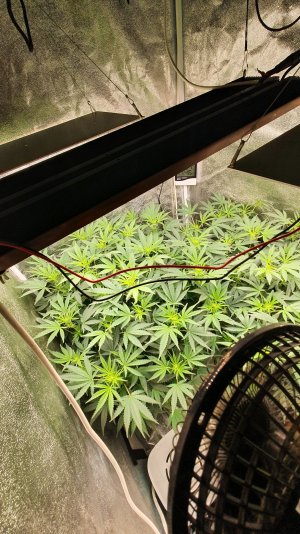 20221030_210357.jpg 20221030_210357.jpg