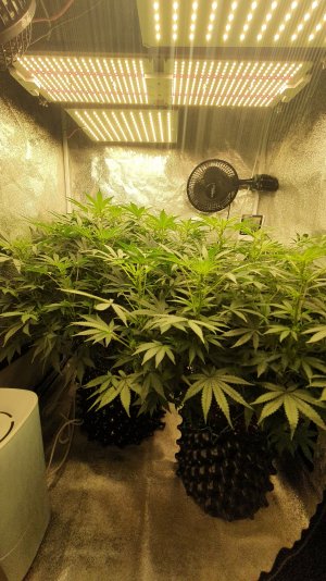 20221030_210408.jpg 20221030_210408.jpg