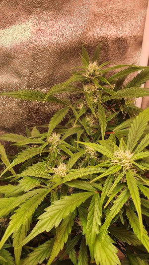 20221030_213534.jpg 20221030_213534.jpg