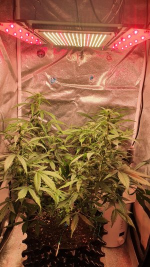 20221030_213541.jpg 20221030_213541.jpg