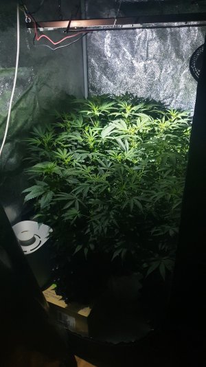 20221030_225108.jpg 20221030_225108.jpg