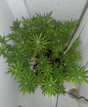 20221031_094748.jpg 20221031_094748.jpg