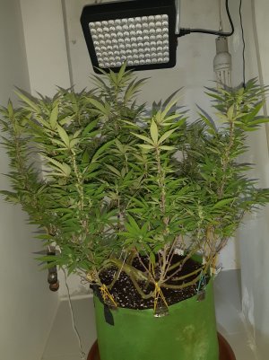 20221031_094806.jpg 20221031_094806.jpg