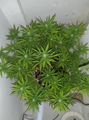 20221031_095452.jpg 20221031_095452.jpg