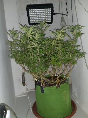 20221031_095437.jpg 20221031_095437.jpg