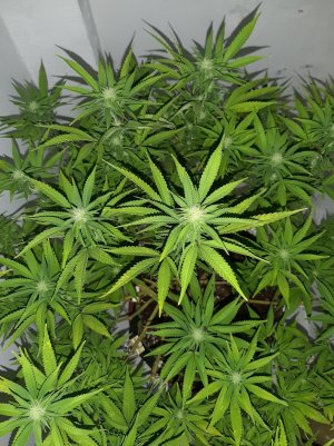 20221031_095507.jpg 20221031_095507.jpg