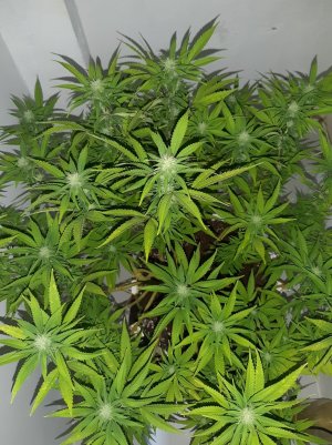 20221031_100412.jpg 20221031_100412.jpg