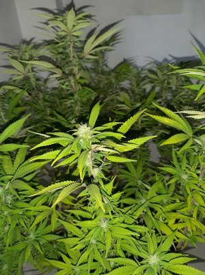 20221031_100332.jpg 20221031_100332.jpg