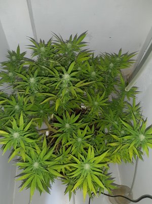 20221031_103609.jpg 20221031_103609.jpg