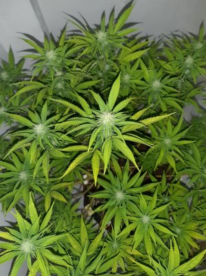 20221031_103558.jpg 20221031_103558.jpg