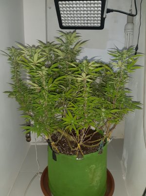 20221031_112257.jpg 20221031_112257.jpg