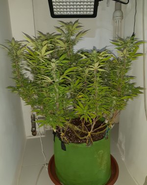 20221031_114745.jpg 20221031_114745.jpg