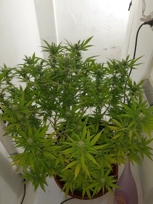 20221031_114842.jpg 20221031_114842.jpg