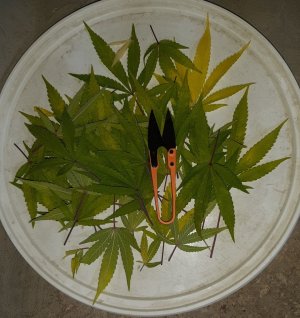 20221031_114926.jpg 20221031_114926.jpg