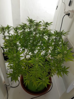 20221031_123722.jpg 20221031_123722.jpg