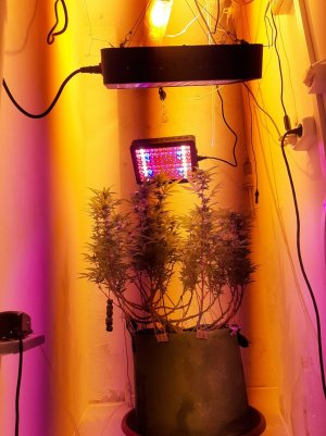 20221031_115048.jpg 20221031_115048.jpg