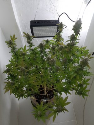 20221031_140600.jpg 20221031_140600.jpg