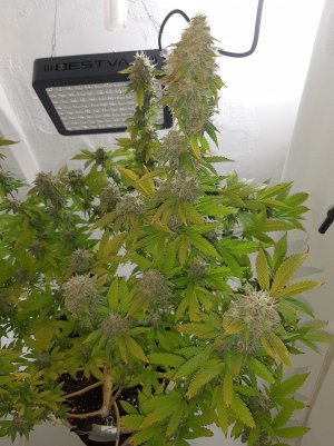 20221031_140613.jpg 20221031_140613.jpg