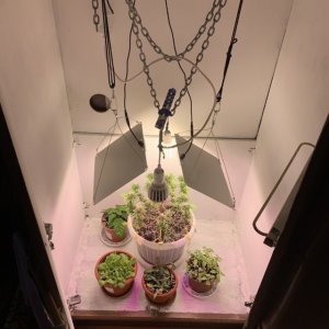 24AF97C7-32F4-4512-85AB-16F54A0ACFFF.jpeg 24AF97C7-32F4-4512-85AB-16F54A0ACFFF.jpeg