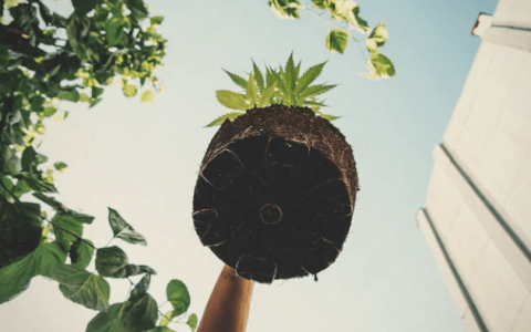 1667247966797.png 1667247966797.png