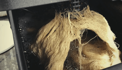 1667248126570.png 1667248126570.png