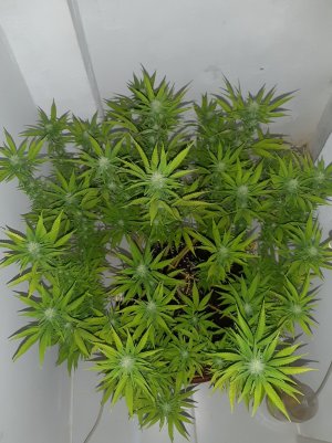 20221101_093639.jpg 20221101_093639.jpg