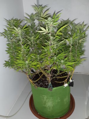 20221101_093600.jpg 20221101_093600.jpg