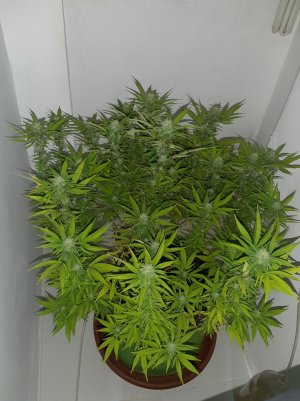 20221101_094031.jpg 20221101_094031.jpg