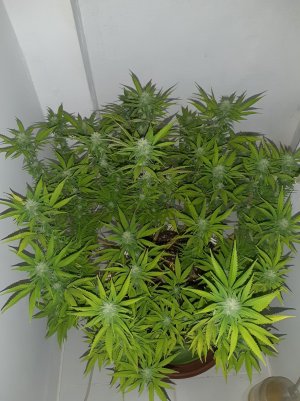 20221101_104445.jpg 20221101_104445.jpg