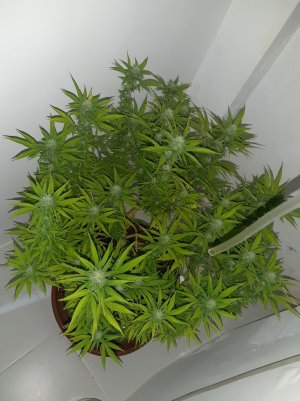 20221101_104421.jpg 20221101_104421.jpg