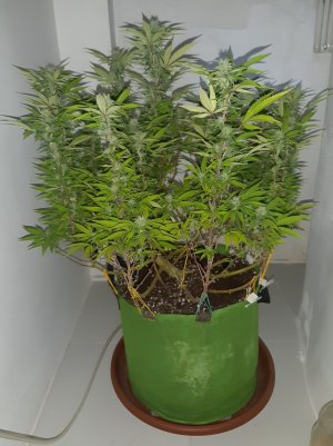 20221101_104432.jpg 20221101_104432.jpg