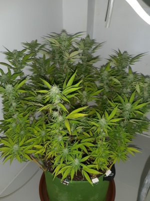 20221101_111149.jpg 20221101_111149.jpg