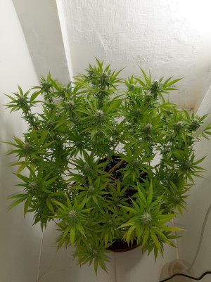 20221102_121616.jpg 20221102_121616.jpg