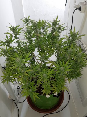 20221102_121702.jpg 20221102_121702.jpg