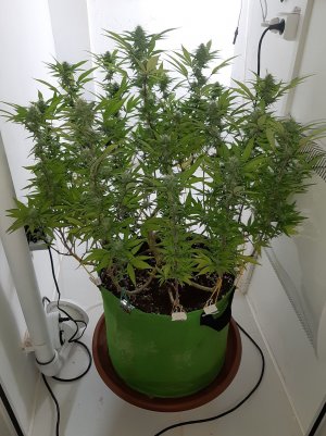 20221102_121650.jpg 20221102_121650.jpg