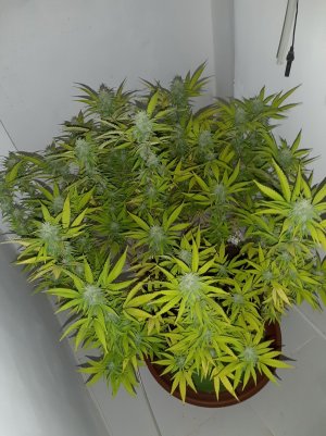 20221102_125340.jpg 20221102_125340.jpg