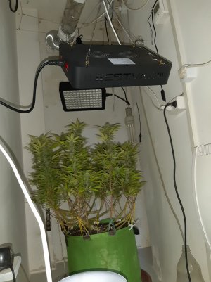 20221102_125409.jpg 20221102_125409.jpg