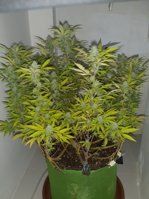 20221102_140220.jpg 20221102_140220.jpg