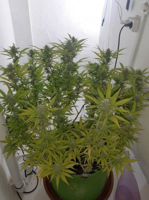 20221102_140246.jpg 20221102_140246.jpg