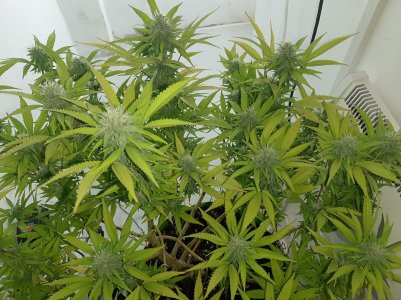 20221102_140838.jpg 20221102_140838.jpg