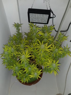 20221102_143146.jpg 20221102_143146.jpg