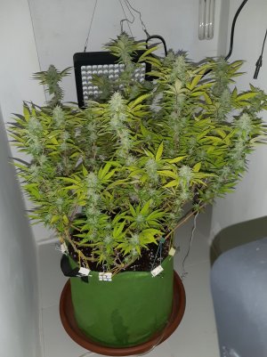 20221102_143058.jpg 20221102_143058.jpg