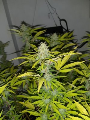 20221102_143031.jpg 20221102_143031.jpg