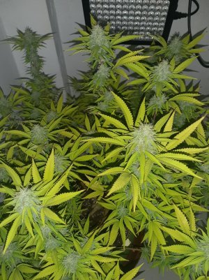 20221103_085025.jpg 20221103_085025.jpg