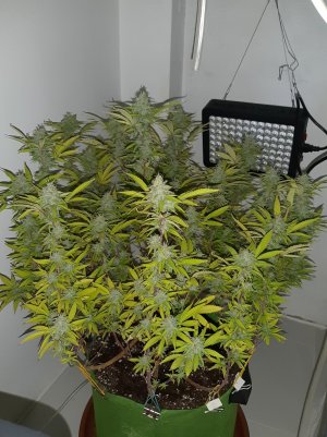 20221103_111623.jpg 20221103_111623.jpg