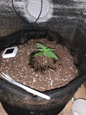 rLhIujxHiBw.jpg rLhIujxHiBw.jpg